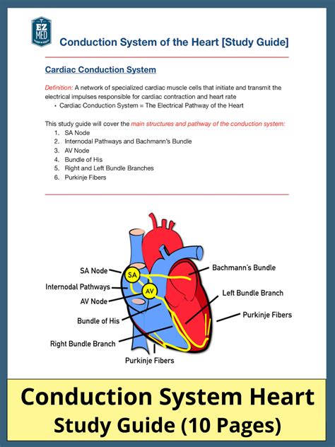 heart box electric diagram|12 steps of the heart.